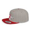 AP Bama Snapback Hat